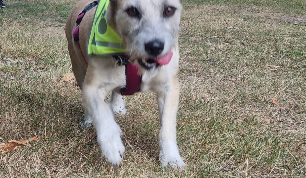 Mantrail 2022-07-23 01