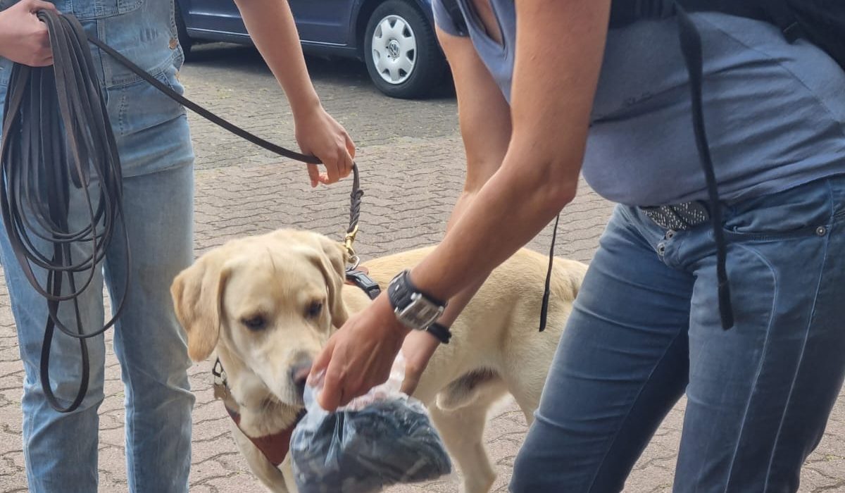 Mantrail 2022-07-23 02