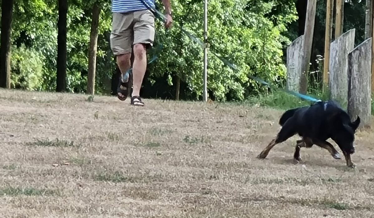 WhatsApp Image 2022-07-23 at 20.29.39