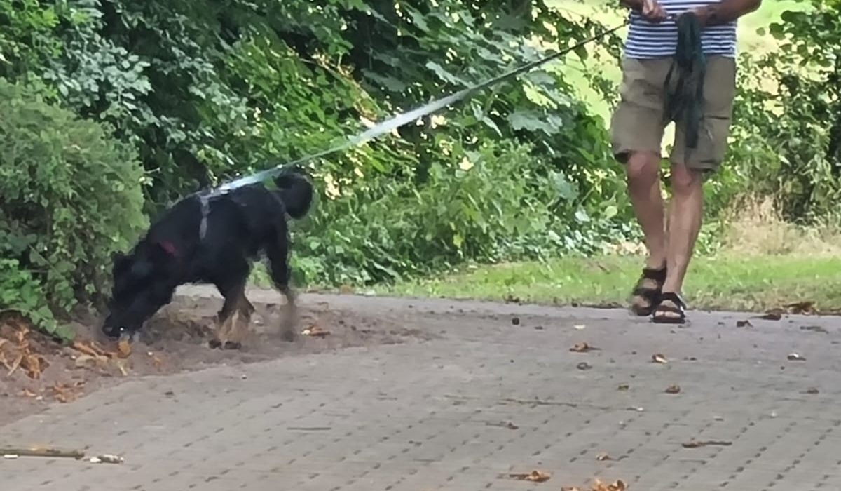 Mantrail 2022-07-23 04