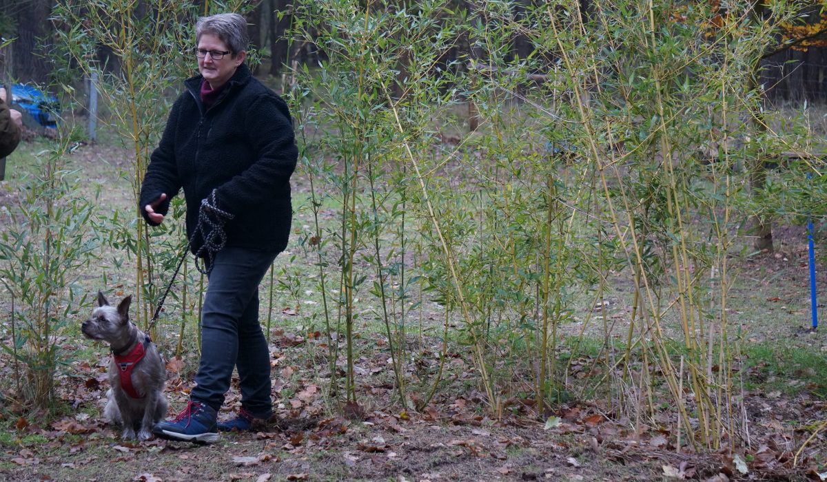 hundesaner gluehwein - 17