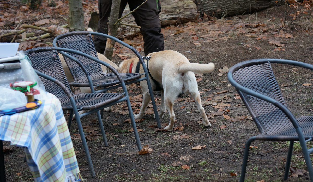 hundesaner gluehwein - 27