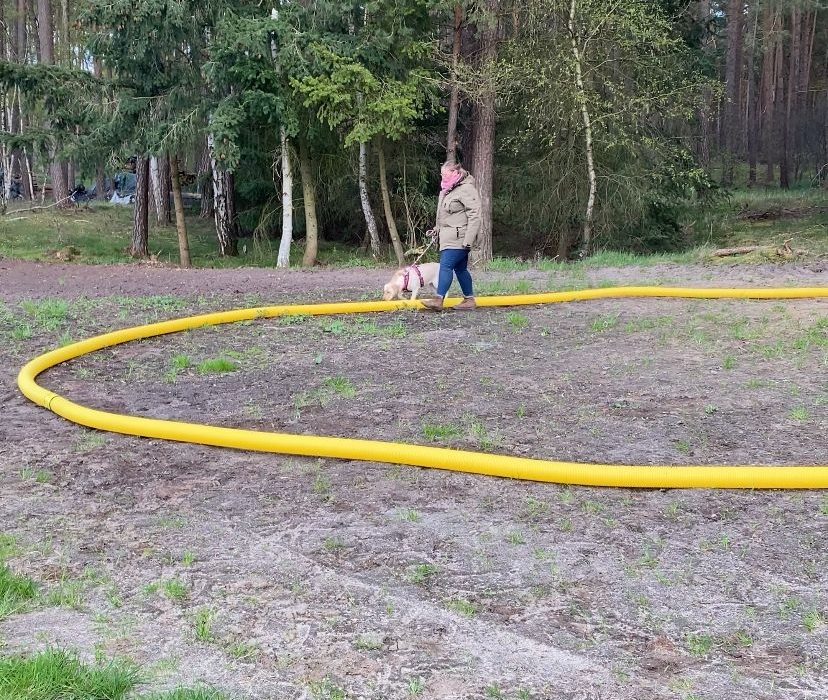 IMG-20230427-WA0000_edit_145200807736174