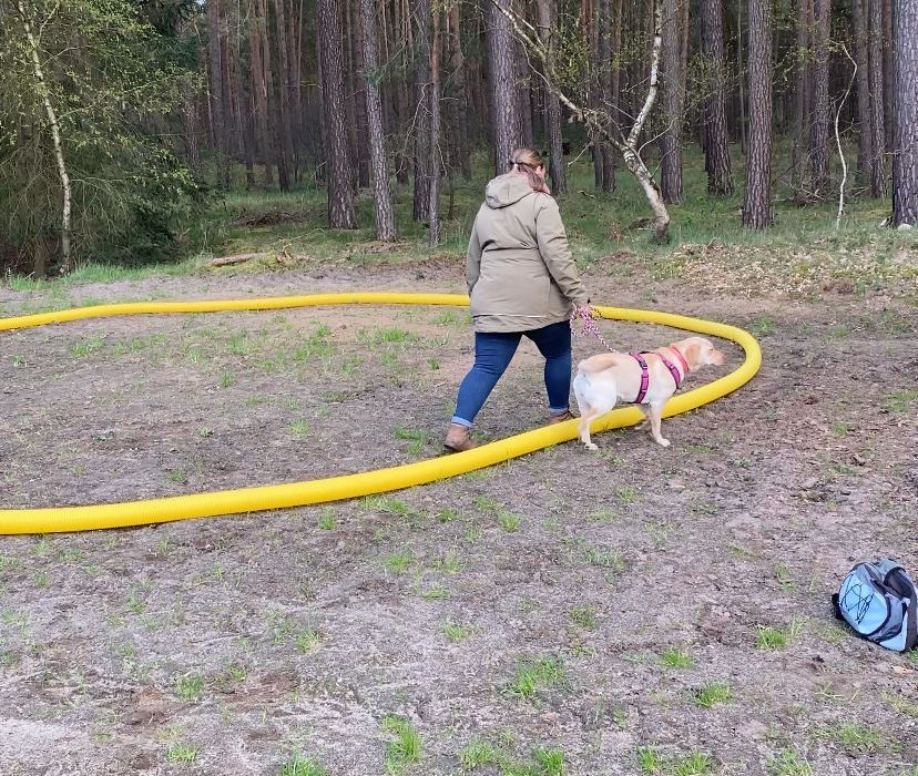 IMG-20230427-WA0001_edit_145159412425764