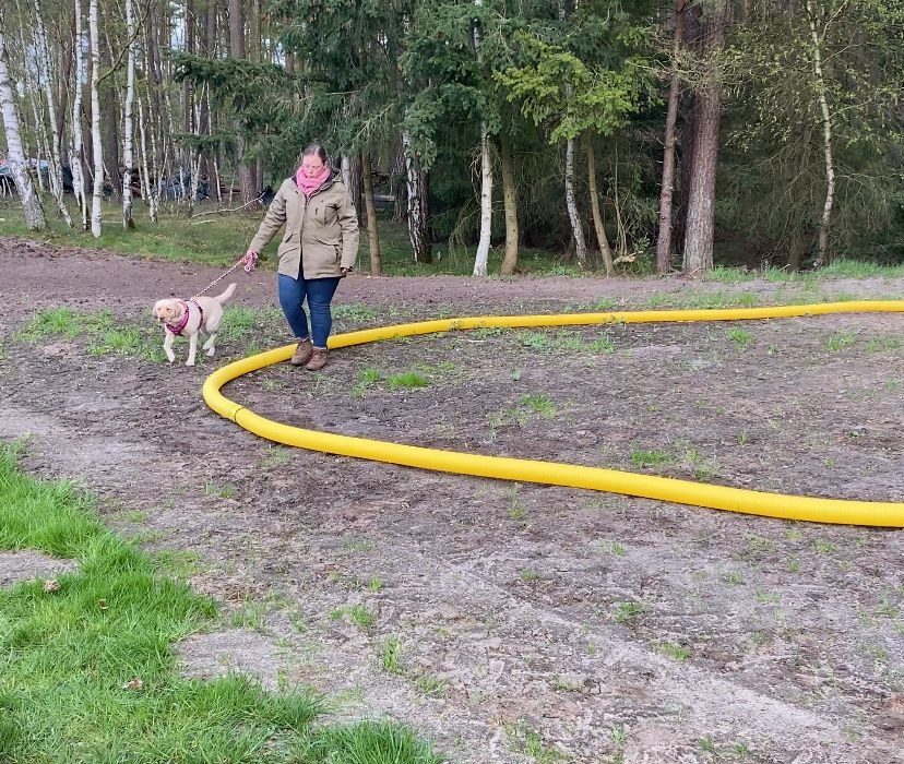 IMG-20230427-WA0002_edit_145176484828886