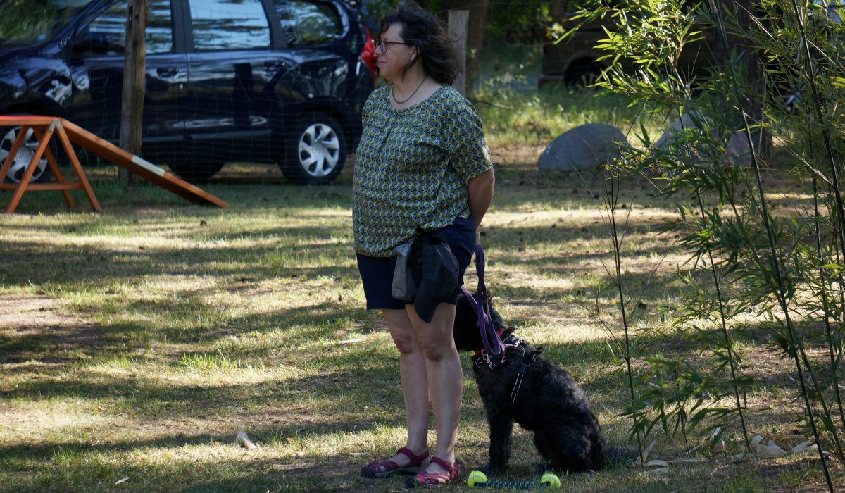 Seminar Apportieren - 13