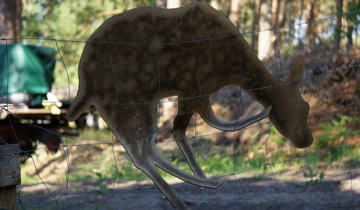 Seminar Apportieren - 14