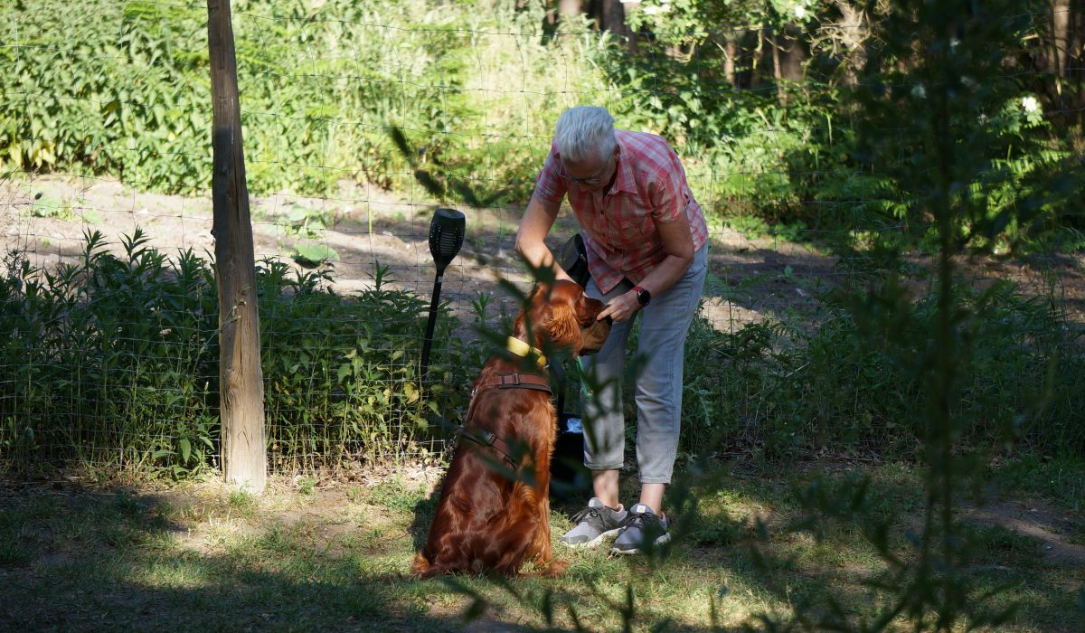 Seminar Apportieren - 15