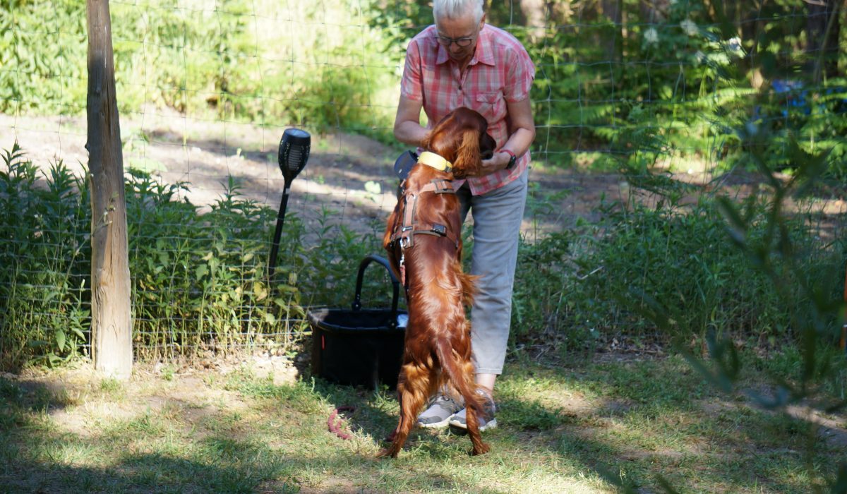 Seminar Apportieren - 16