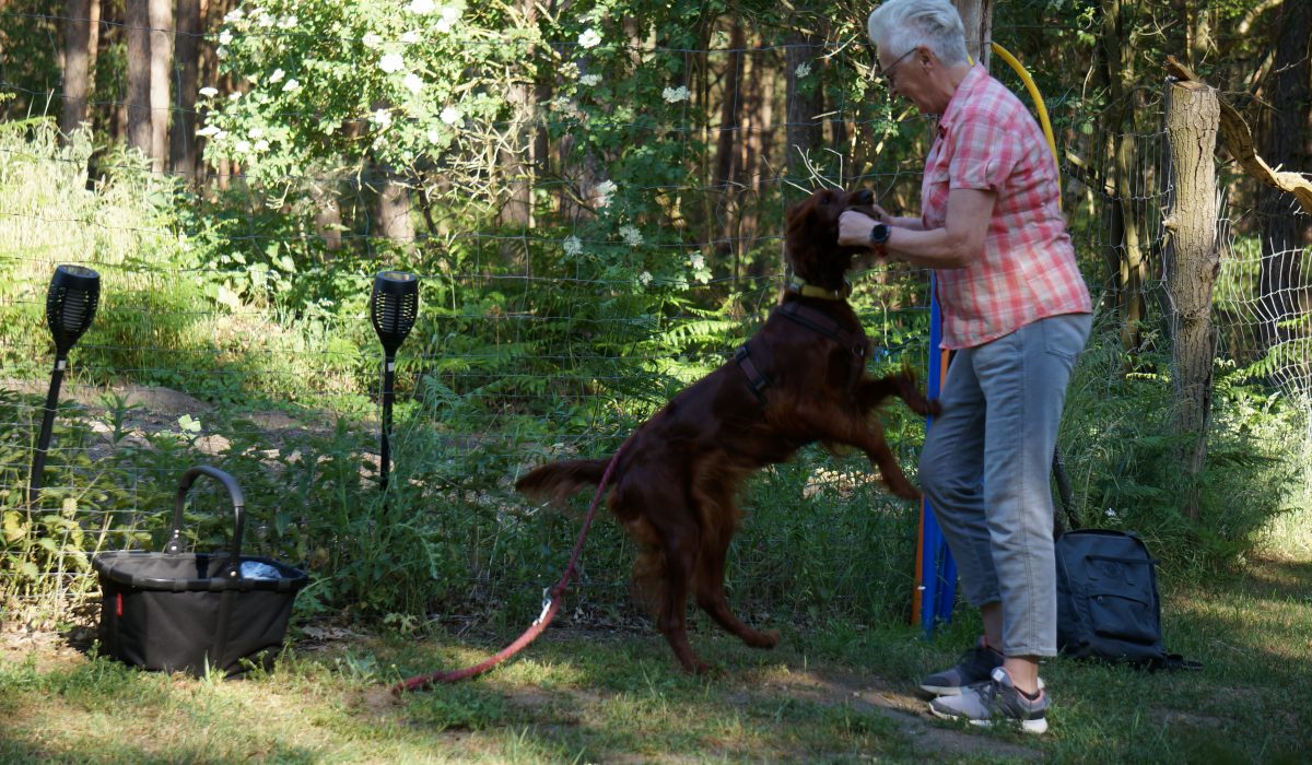 Seminar Apportieren - 20