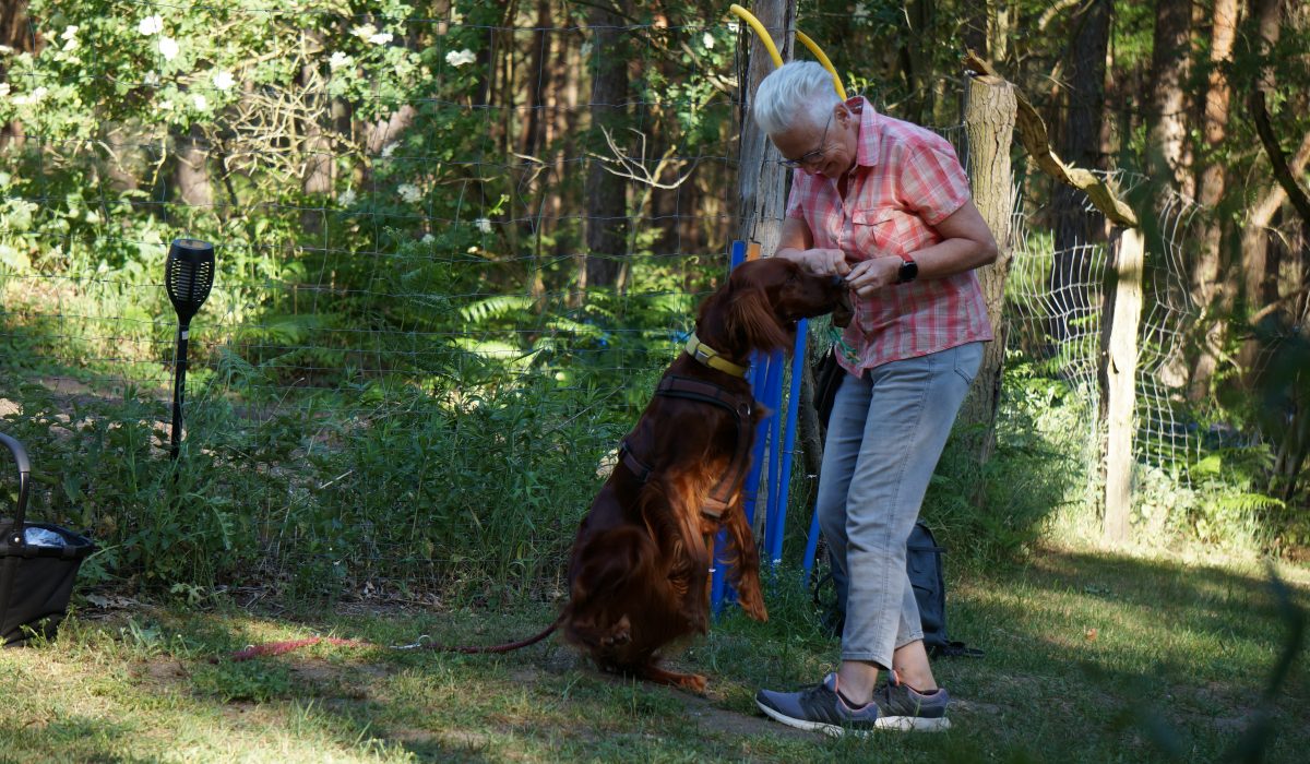 Seminar Apportieren - 21