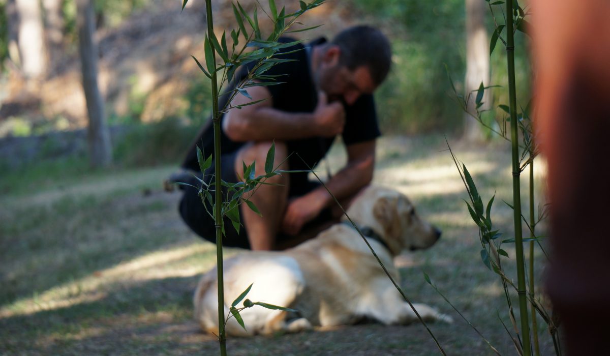 Seminar Apportieren - 22