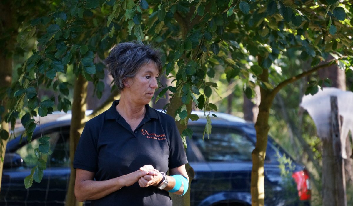 Seminar Apportieren - 23