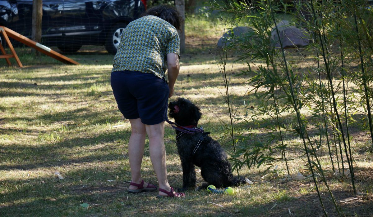 Seminar Apportieren - 24