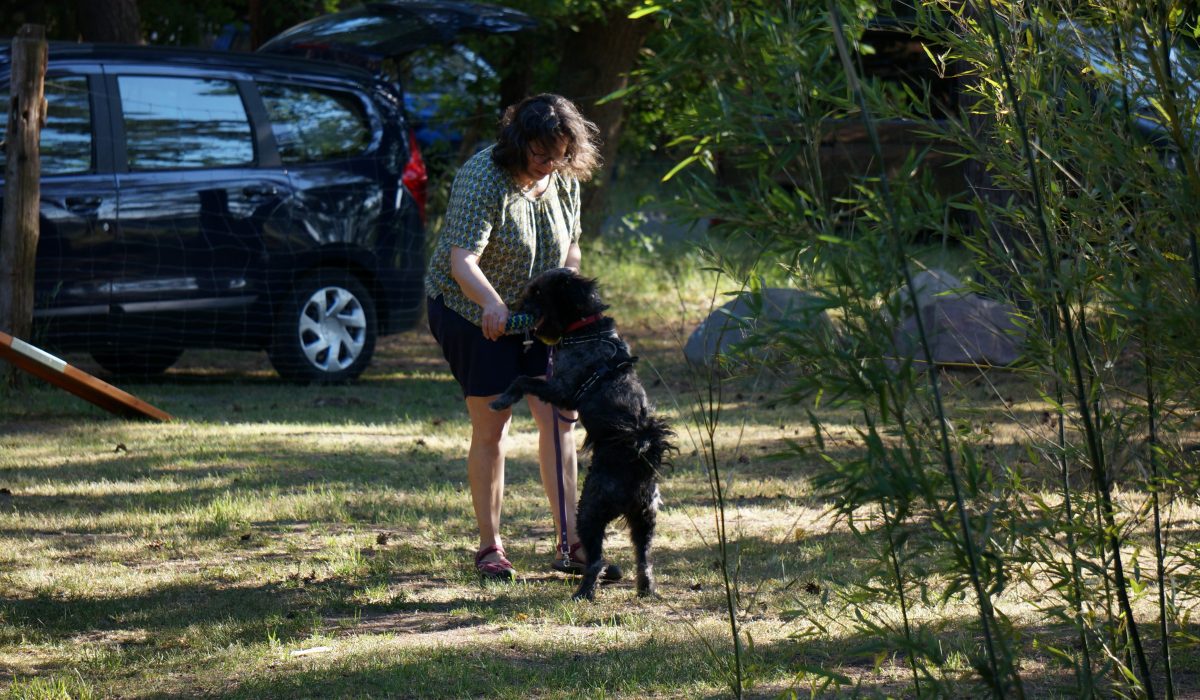 Seminar Apportieren - 26