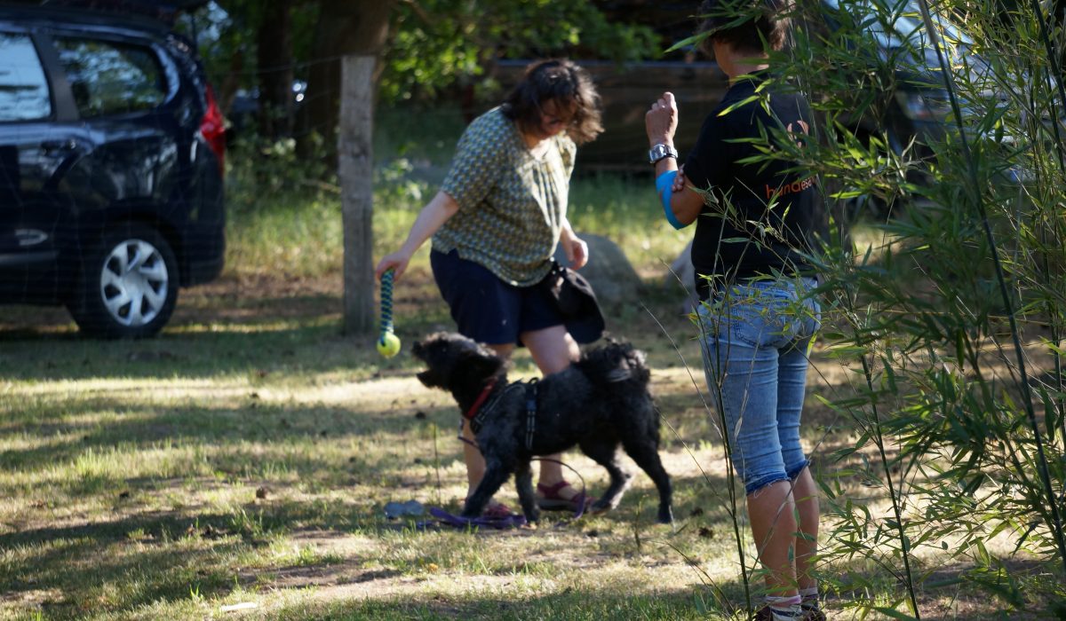 Seminar Apportieren - 27