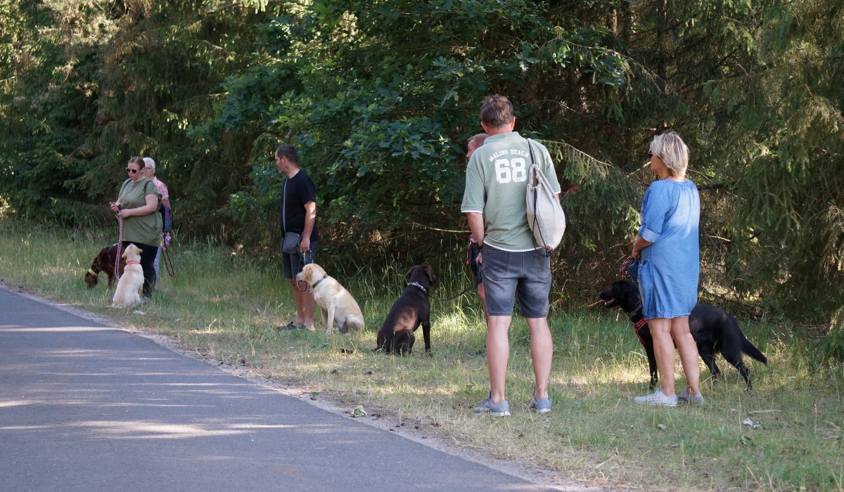 Seminar Apportieren - 33