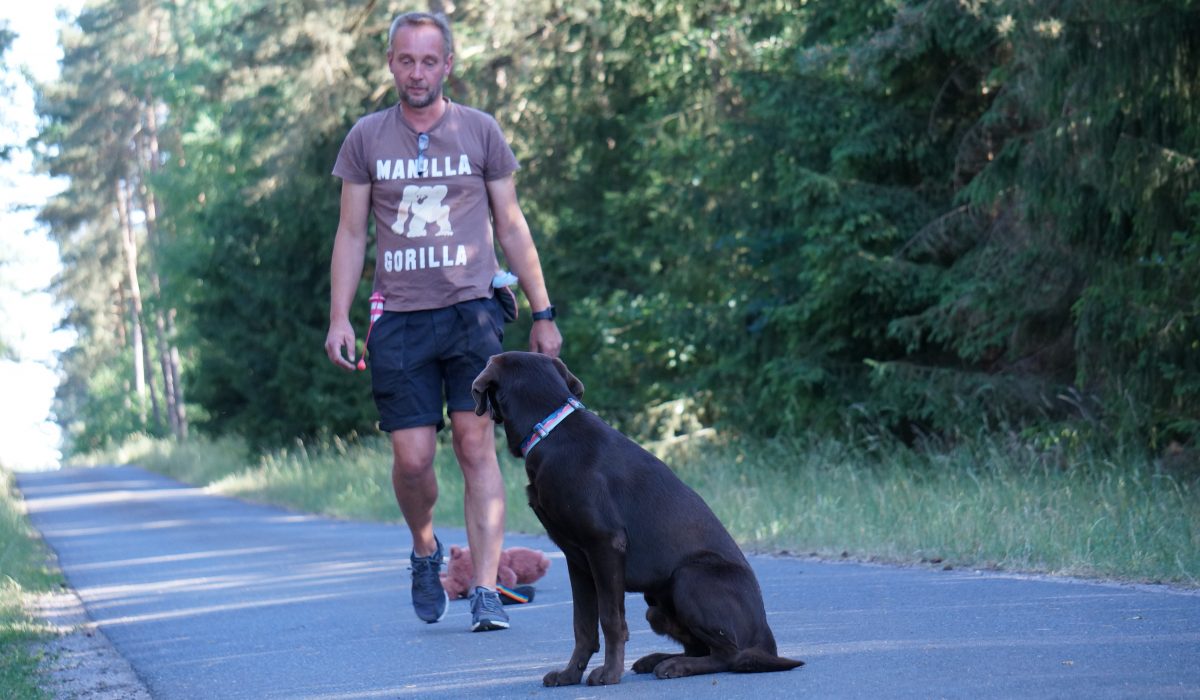 Seminar Apportieren - 35