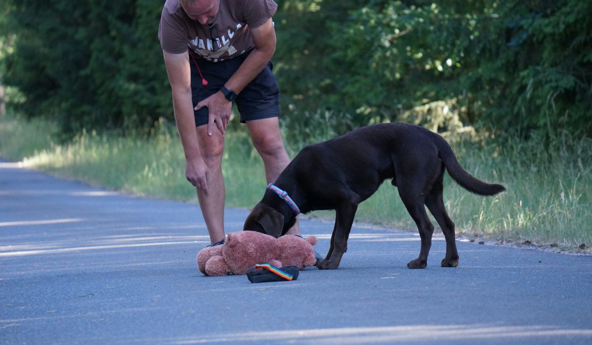 Seminar Apportieren - 36