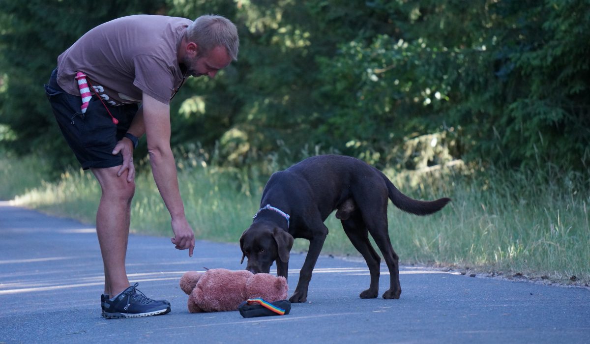 Seminar Apportieren - 37
