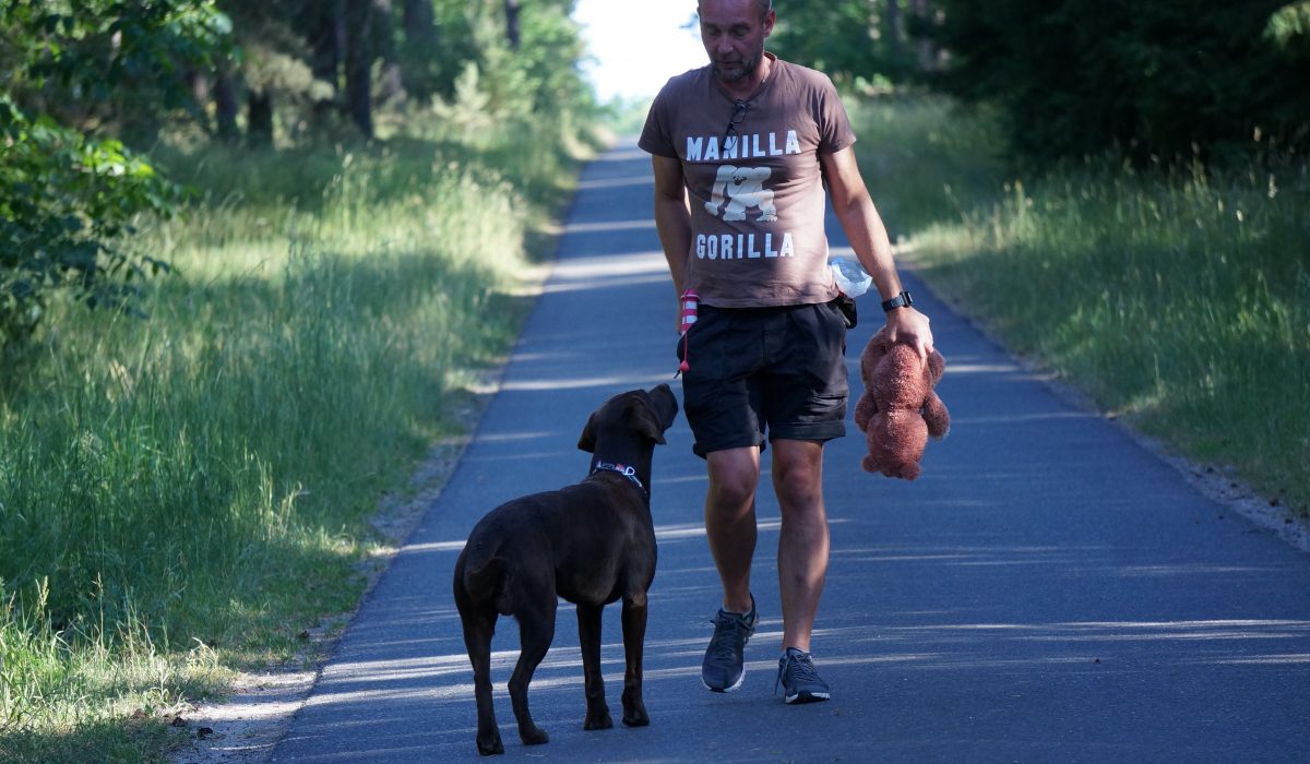 Seminar Apportieren - 38