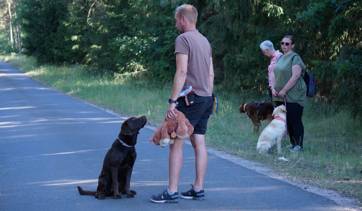 Seminar Apportieren - 39