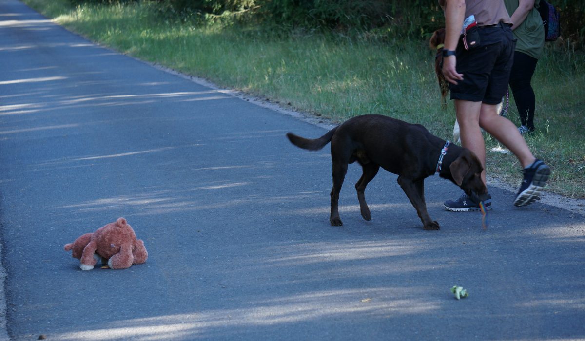 Seminar Apportieren - 40