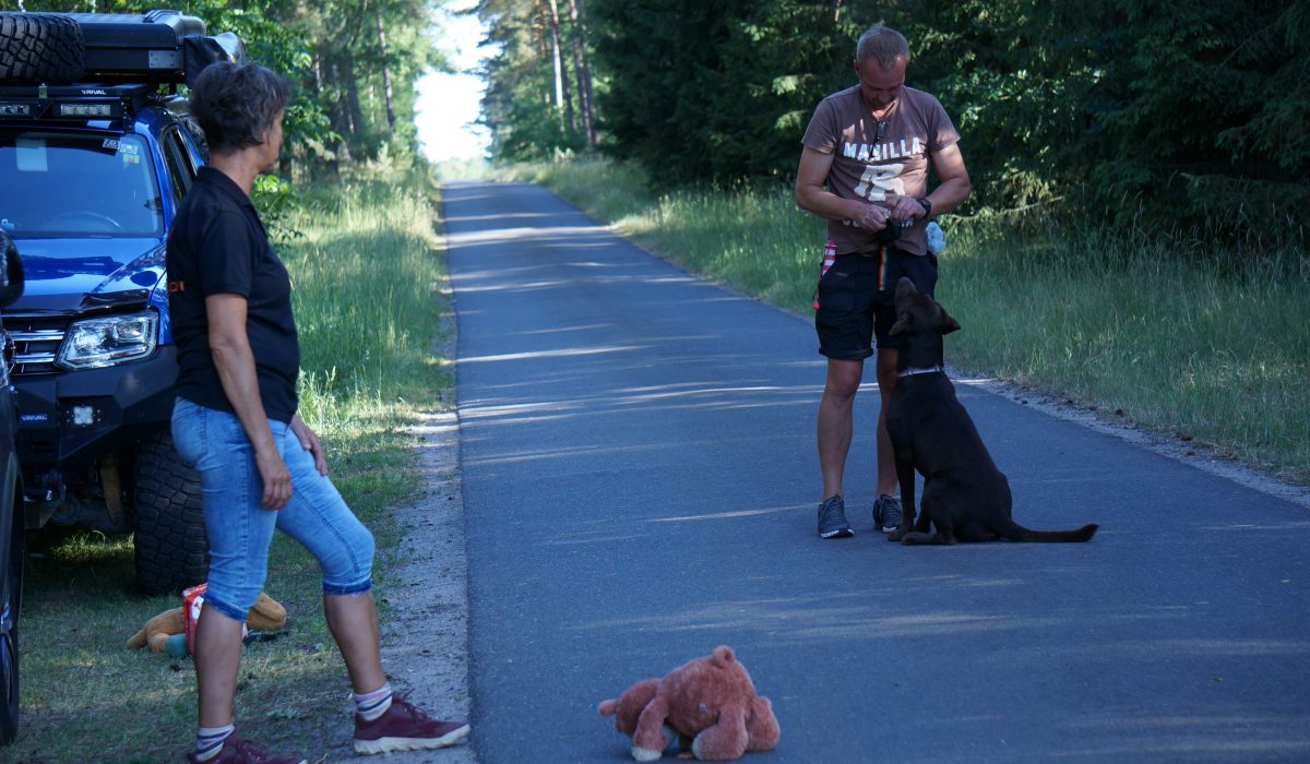 Seminar Apportieren - 41