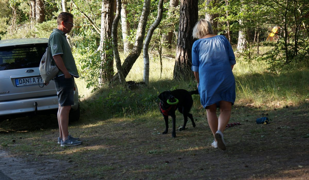 Seminar Apportieren - 42