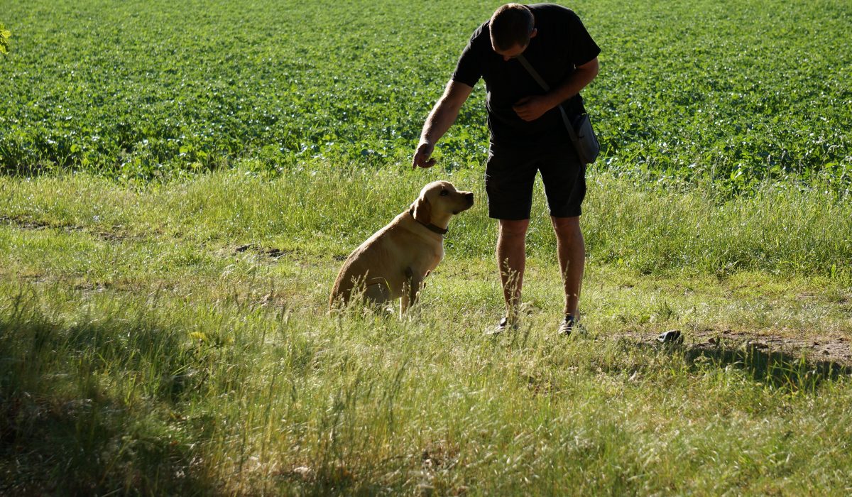 Seminar Apportieren - 43
