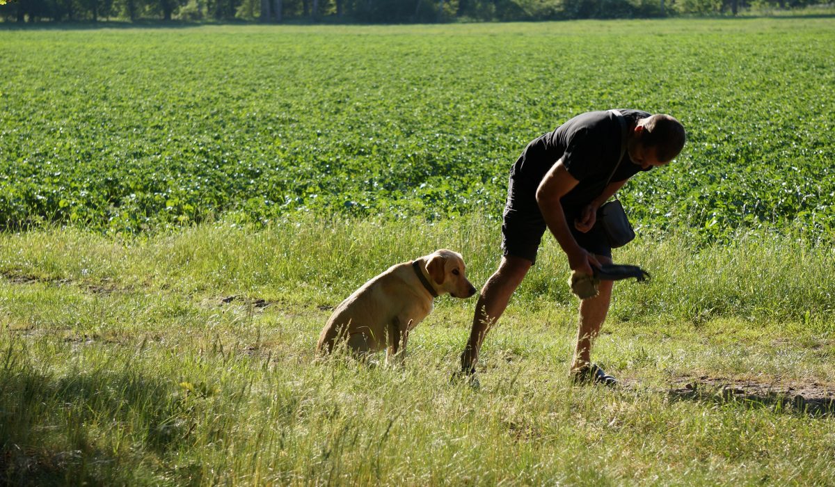 Seminar Apportieren - 44