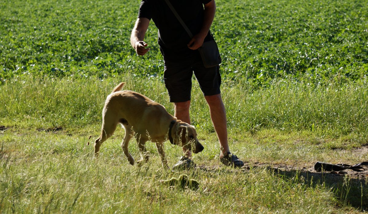 Seminar Apportieren - 45
