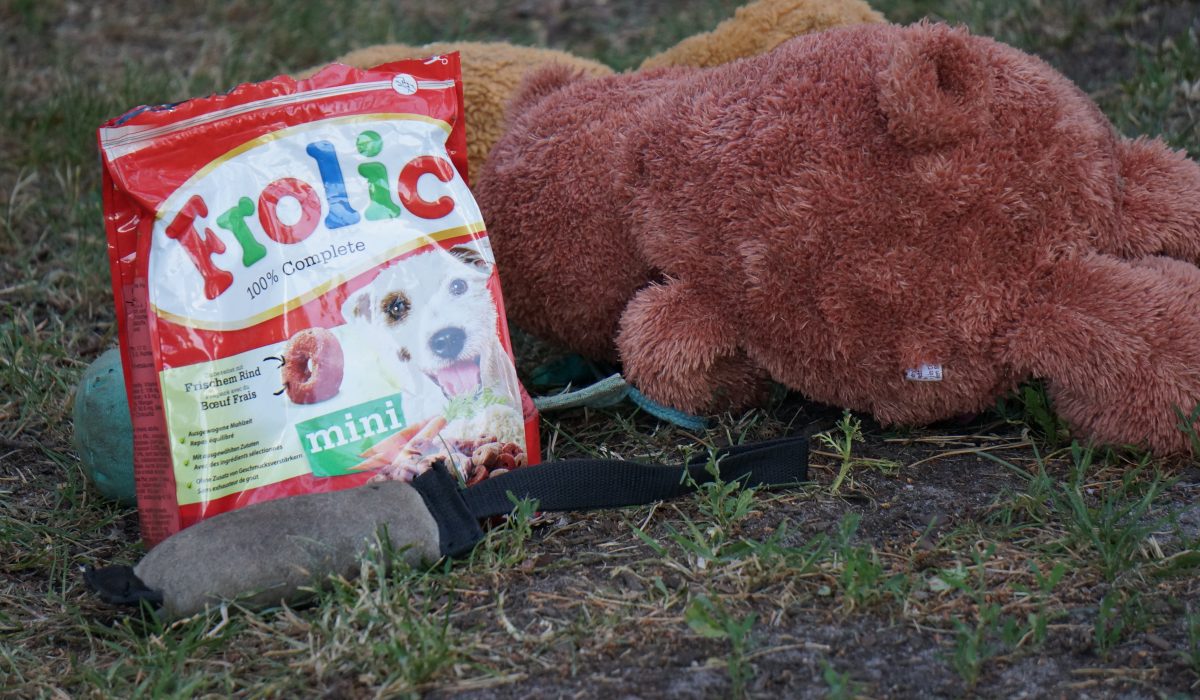 Seminar Apportieren - 46