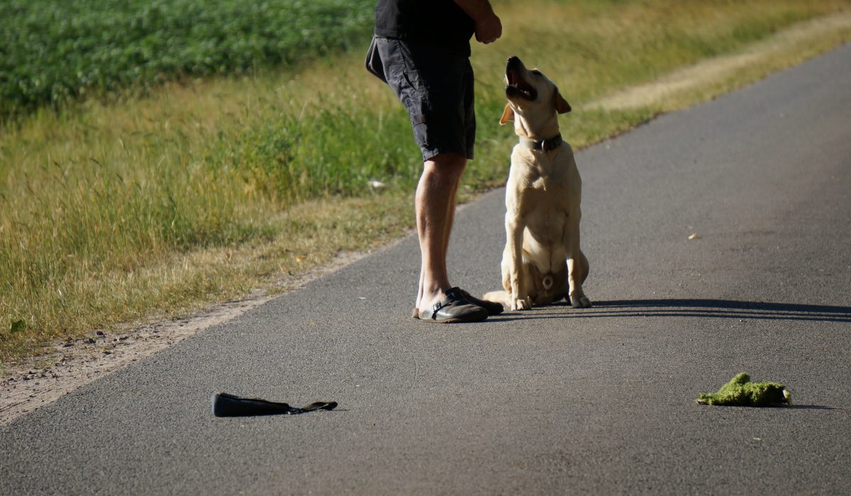 Seminar Apportieren - 48
