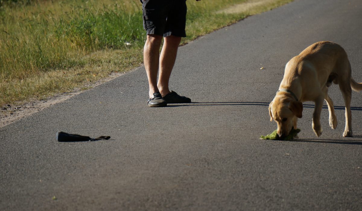 Seminar Apportieren - 49