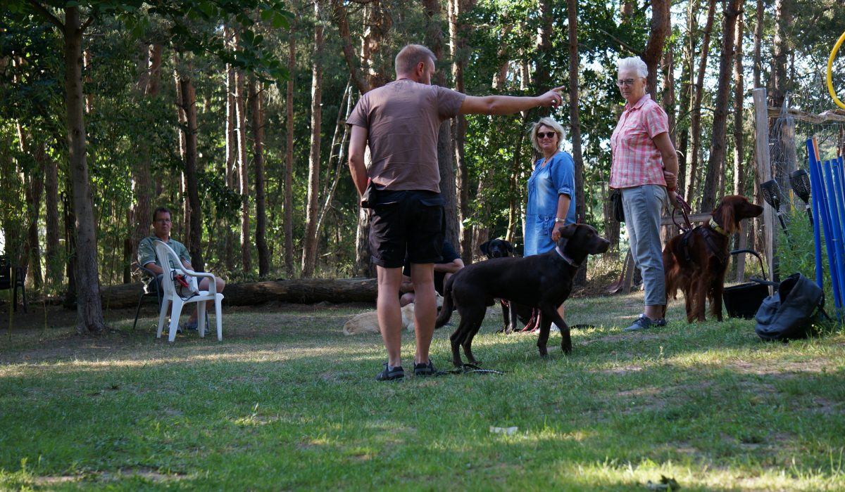 Seminar Apportieren - 5