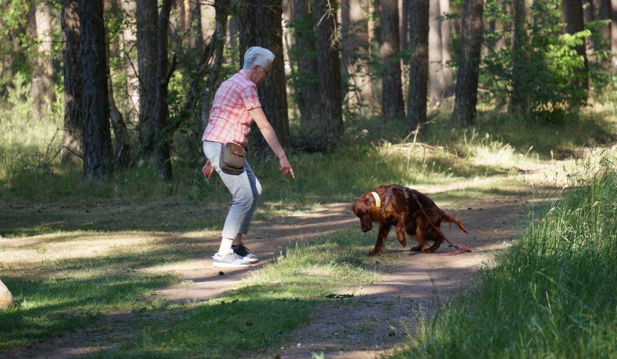 Seminar Apportieren - 52