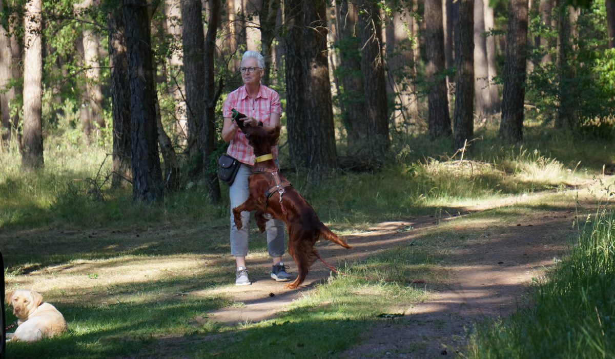 Seminar Apportieren - 53
