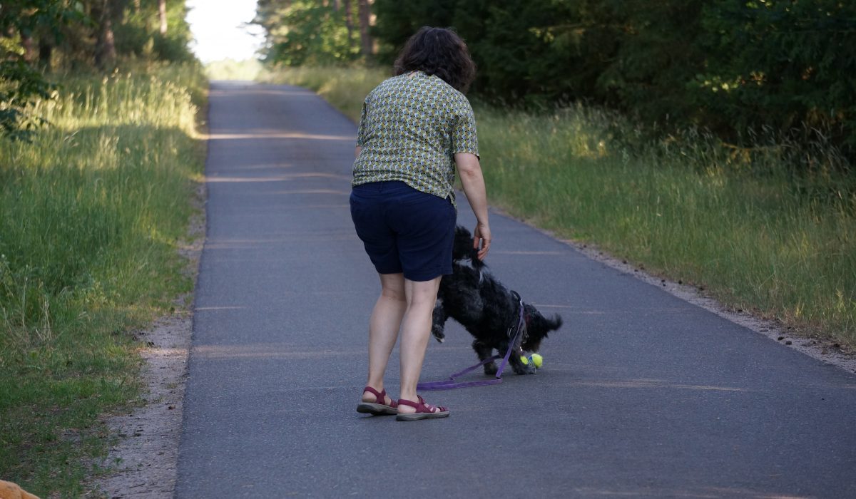 Seminar Apportieren - 57