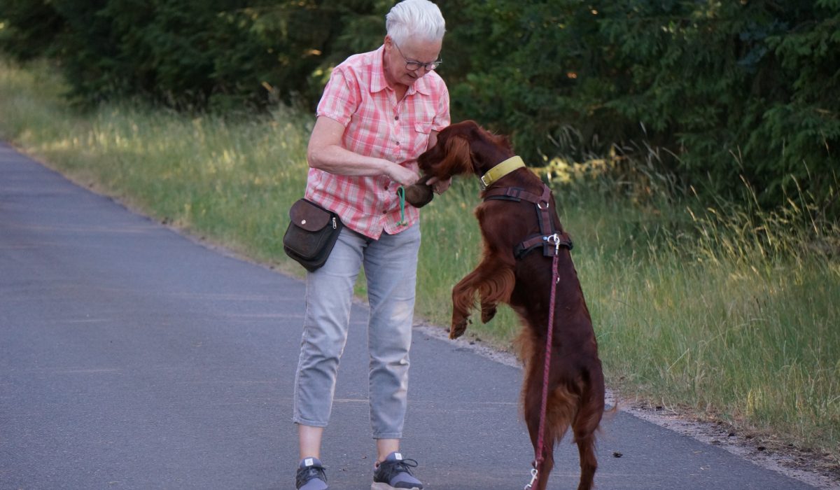 Seminar Apportieren - 58