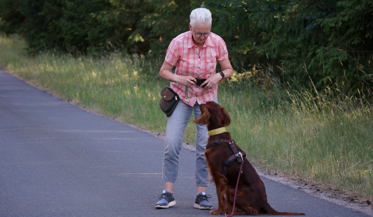 Seminar Apportieren - 59