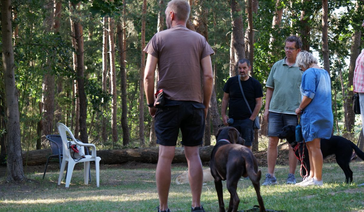 Seminar Apportieren - 6