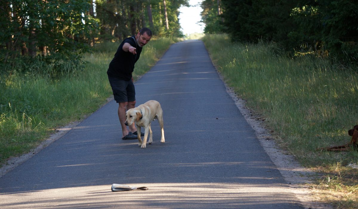 Seminar Apportieren - 65