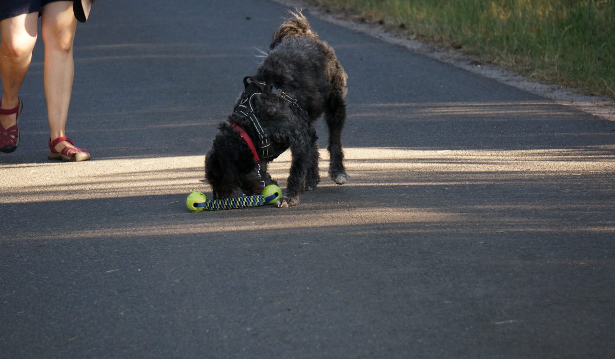 Seminar Apportieren - 69