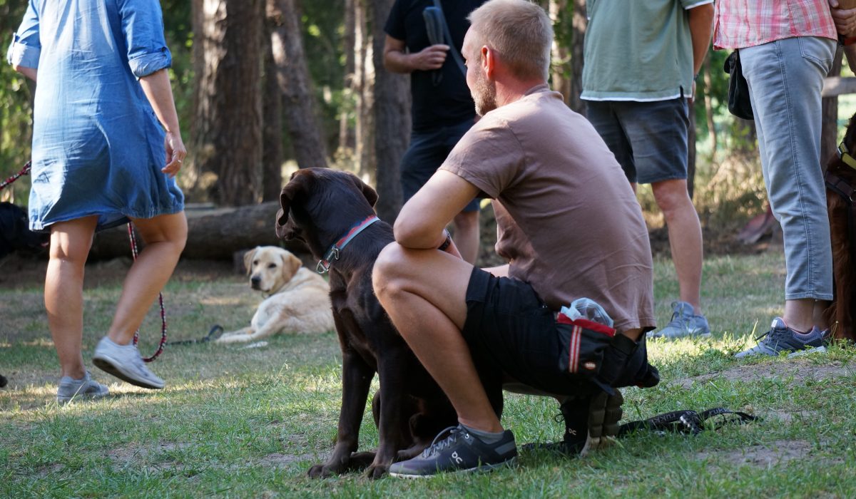 Seminar Apportieren - 7