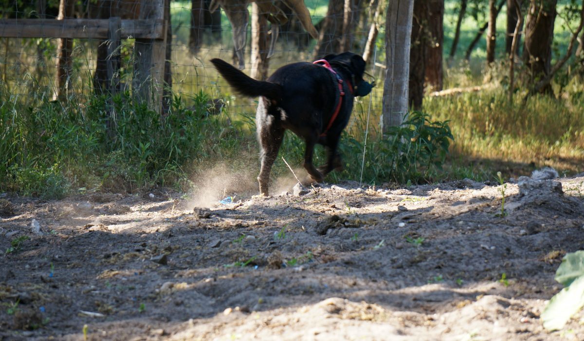 Seminar Apportieren - 9