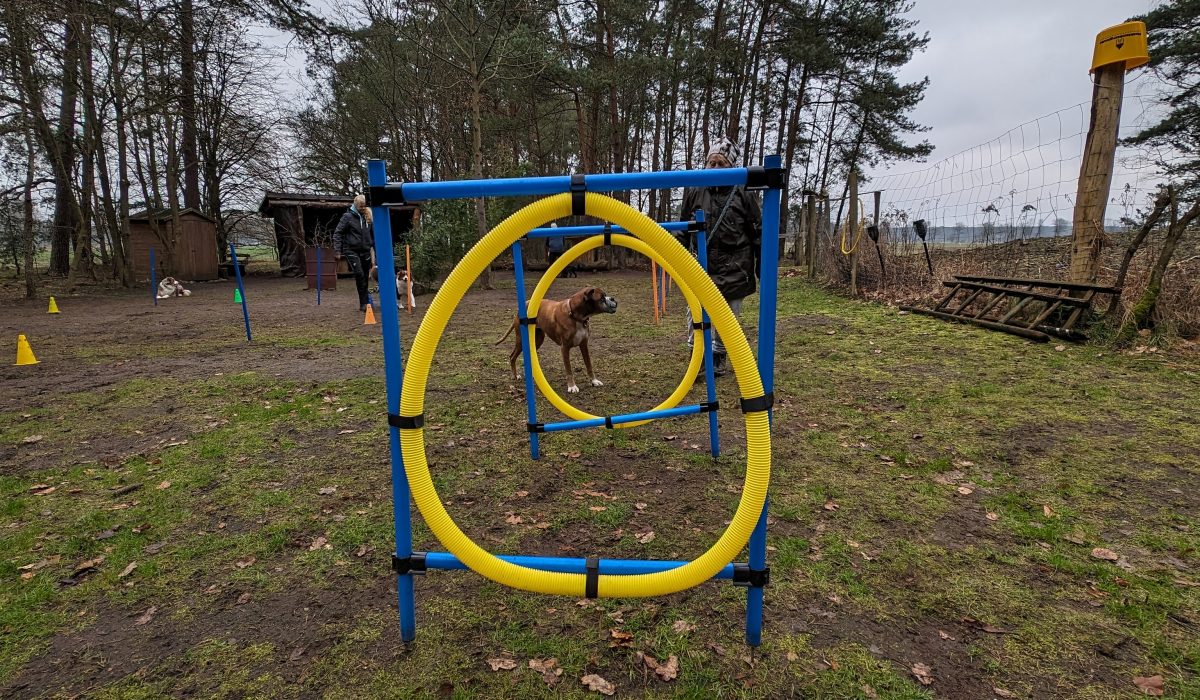 PXL_20240221_091650580