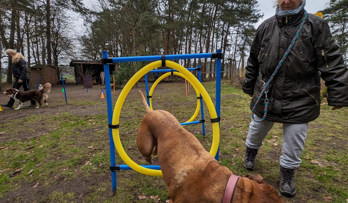 PXL_20240221_091654030