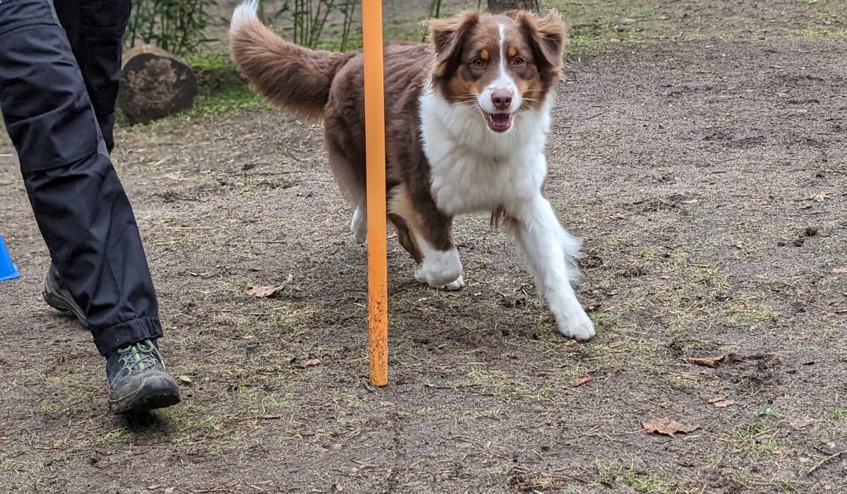 PXL_20240221_091750373.PORTRAIT