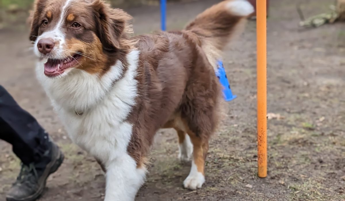 PXL_20240221_091808257.PORTRAIT